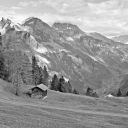 placeimg 128 128 grayscale nature